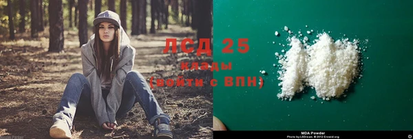 PSILOCYBIN Армянск
