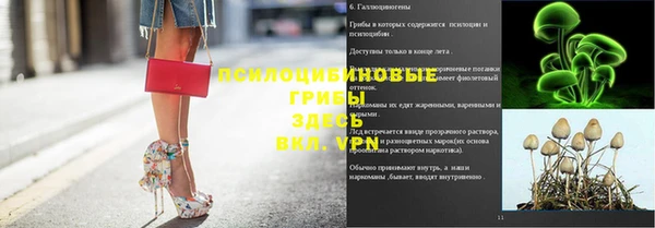 PSILOCYBIN Армянск