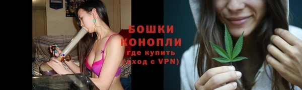 PSILOCYBIN Армянск