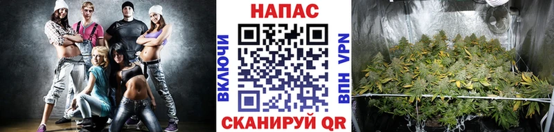 OMG онион  Светлый  Конопля конопля 